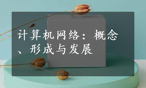 计算机网络：概念、形成与发展