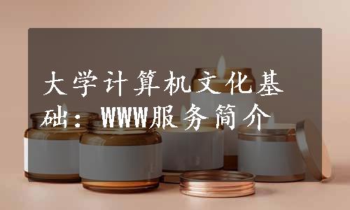 大学计算机文化基础：WWW服务简介