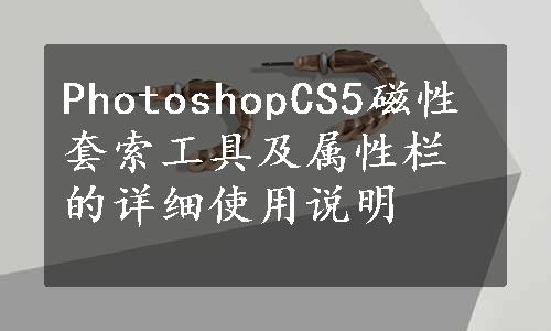 PhotoshopCS5磁性套索工具及属性栏的详细使用说明