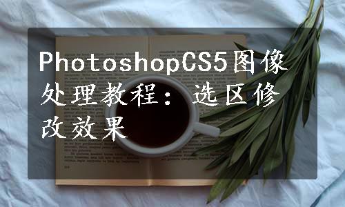 PhotoshopCS5图像处理教程：选区修改效果