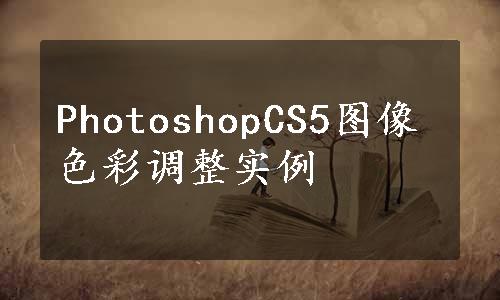 PhotoshopCS5图像色彩调整实例