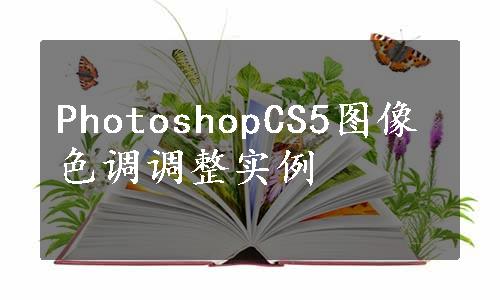 PhotoshopCS5图像色调调整实例