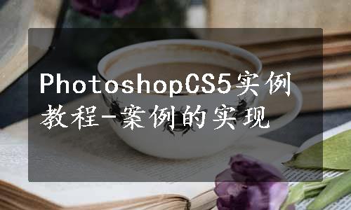 PhotoshopCS5实例教程-案例的实现