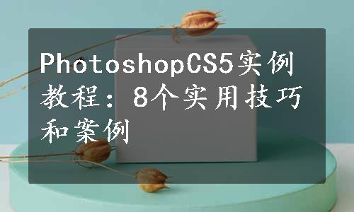 PhotoshopCS5实例教程：8个实用技巧和案例