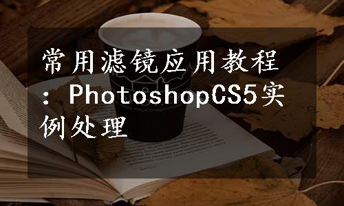 常用滤镜应用教程：PhotoshopCS5实例处理