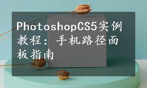 PhotoshopCS5实例教程：手机路径面板指南