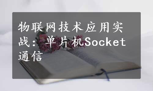 物联网技术应用实战：单片机Socket通信