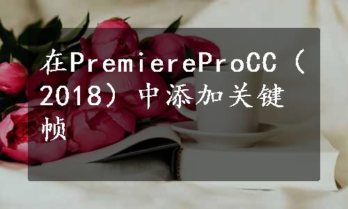 在PremiereProCC（2018）中添加关键帧