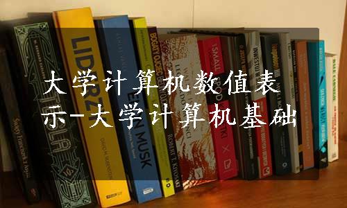 大学计算机数值表示-大学计算机基础