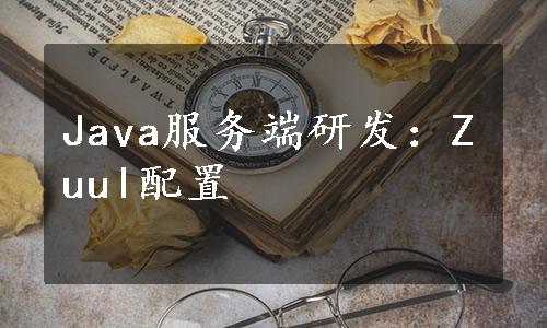 Java服务端研发：Zuul配置