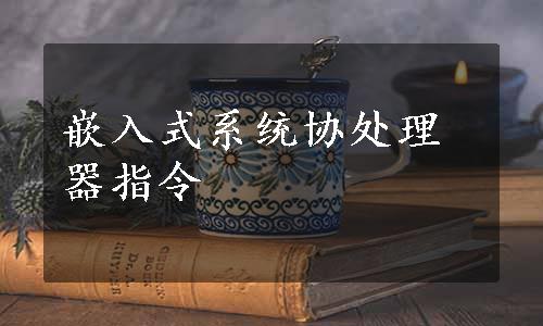 嵌入式系统协处理器指令