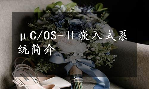 μC/OS-Ⅱ嵌入式系统简介