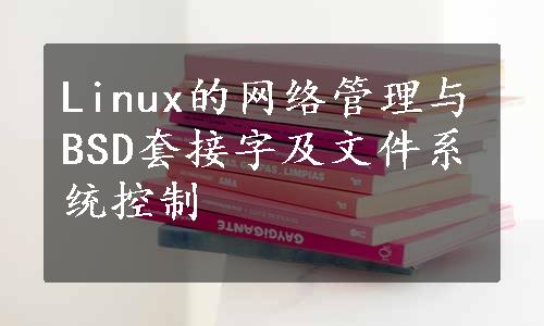 Linux的网络管理与BSD套接字及文件系统控制