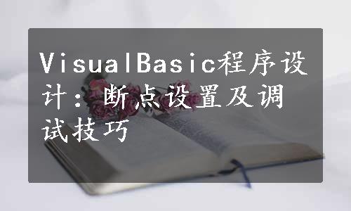 VisualBasic程序设计：断点设置及调试技巧