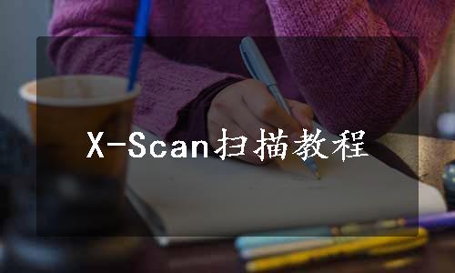 X-Scan扫描教程