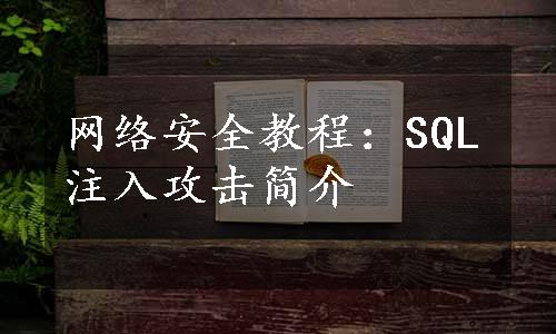 网络安全教程：SQL注入攻击简介