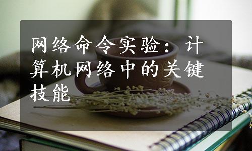 网络命令实验：计算机网络中的关键技能