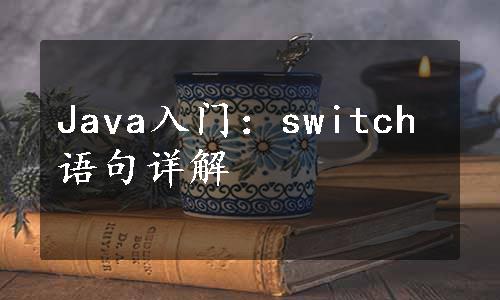 Java入门：switch语句详解