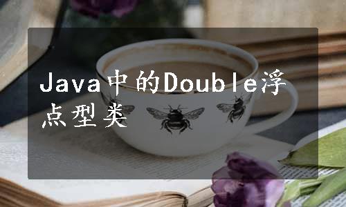 Java中的Double浮点型类