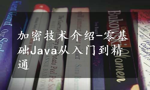 加密技术介绍-零基础Java从入门到精通