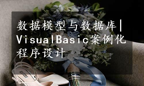 数据模型与数据库|VisualBasic案例化程序设计