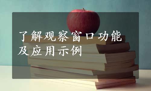 了解观察窗口功能及应用示例