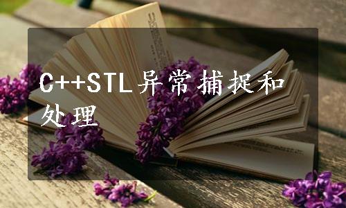 C++STL异常捕捉和处理