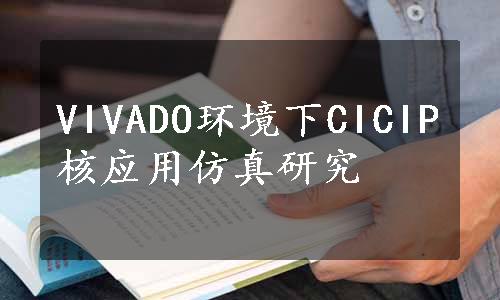 VIVADO环境下CICIP核应用仿真研究