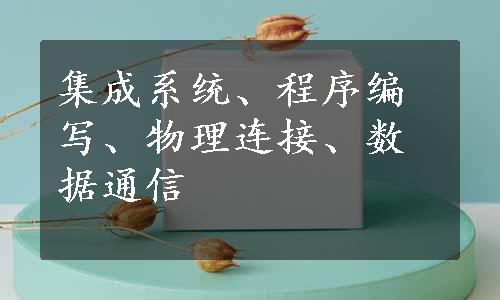 集成系统、程序编写、物理连接、数据通信