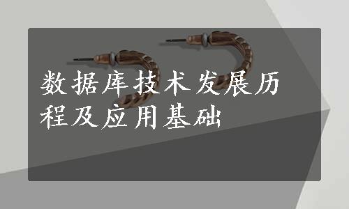 数据库技术发展历程及应用基础