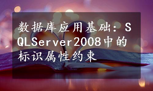 数据库应用基础：SQLServer2008中的标识属性约束