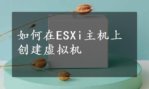 如何在ESXi主机上创建虚拟机