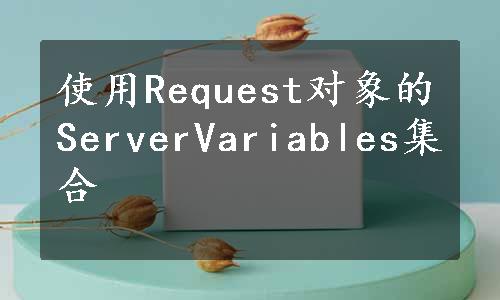 使用Request对象的ServerVariables集合