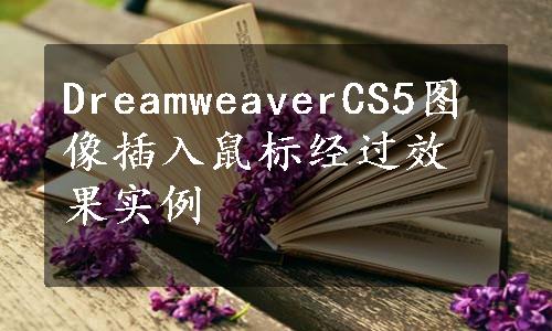 DreamweaverCS5图像插入鼠标经过效果实例