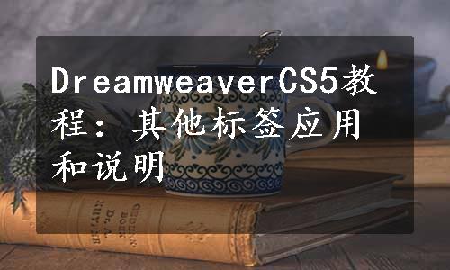 DreamweaverCS5教程：其他标签应用和说明