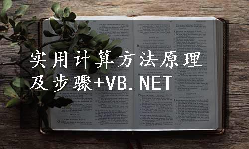 实用计算方法原理及步骤+VB.NET