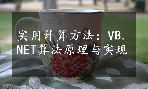 实用计算方法：VB.NET算法原理与实现