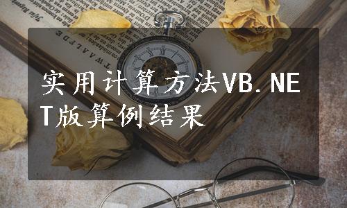 实用计算方法VB.NET版算例结果