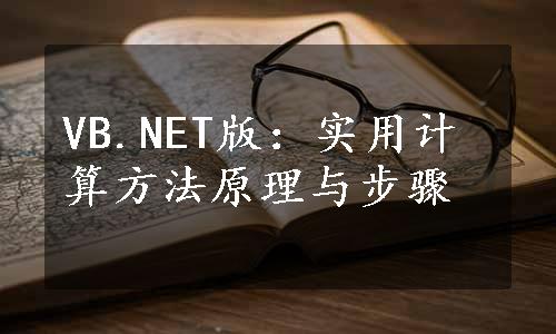 VB.NET版：实用计算方法原理与步骤