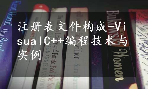 注册表文件构成-VisualC++编程技术与实例