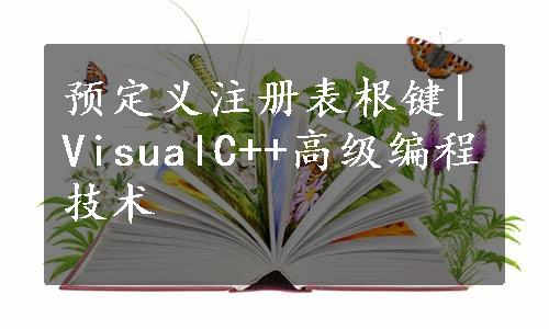 预定义注册表根键|VisualC++高级编程技术