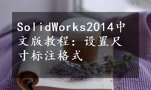 SolidWorks2014中文版教程：设置尺寸标注格式