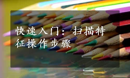 快速入门：扫描特征操作步骤