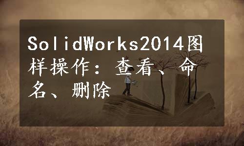 SolidWorks2014图样操作：查看、命名、删除
