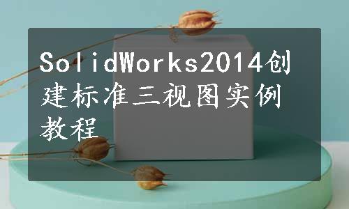 SolidWorks2014创建标准三视图实例教程