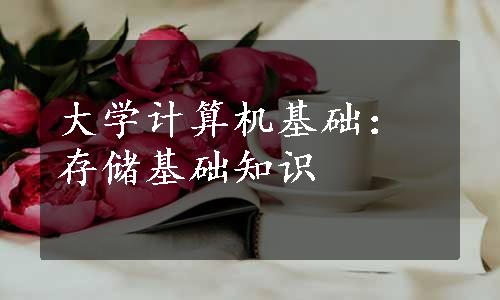 大学计算机基础：存储基础知识