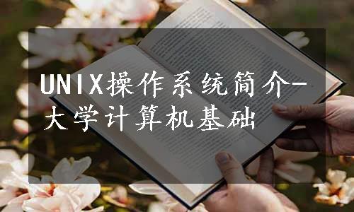 UNIX操作系统简介-大学计算机基础　