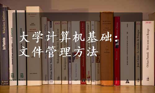 大学计算机基础：文件管理方法