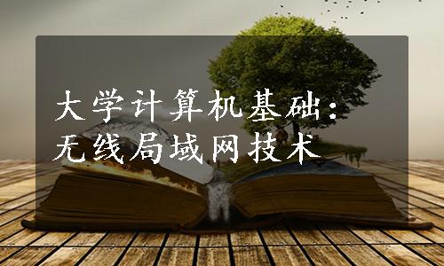 大学计算机基础：无线局域网技术