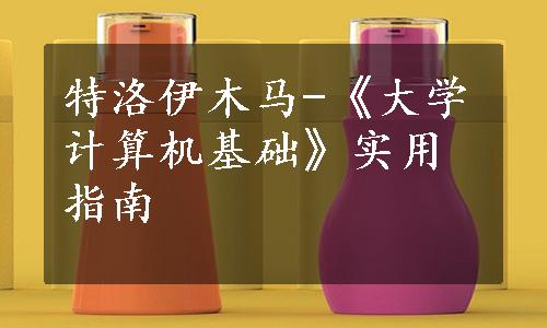 特洛伊木马-《大学计算机基础》实用指南